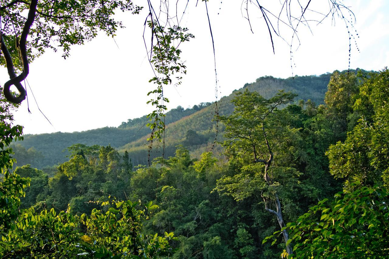 Chestnut Hill Eco Resort Had Yai Хатъяй Экстерьер фото